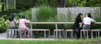 직장인들 공원에서 도시락 점심