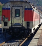 동해~강릉간 동해선 일반열차 무궁화호 운행 중지