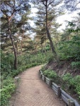 충남도, 숲길·걷는 길 정비...쾌적한 산행환경 조성