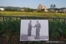 “지금 파주 가야리 해바라기 만나러 갑니다”
