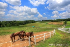 고양시 ‘길, 문화유산 이야기’ 발간…인생추억 소환