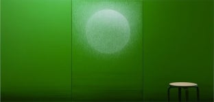 생명의 기운 충천하던 시간에 경의...박일순의 나무