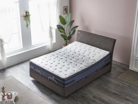 씰리침대, 집콕 시대 전동베드 ‘모션 20’ 출시