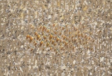 김창열 박서보 최종태 김구림..자문밖 12인展