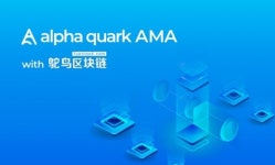 글로벌 페이먼트 플랫폼 ‘알파쿼크’, 중국 블록체인 미디어 TuoniaoX와 AMA 개최