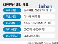 대한전선, 6년만에 새 주인 찾는다