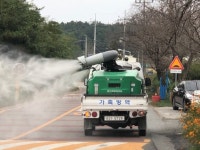 평택 산란계 농장 AI 발생…24만 마리 살처분