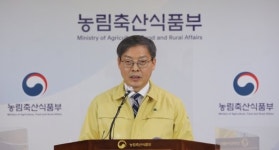 고병원성 AI 발생농장 살처분 반경 3km→1km 이내 축소