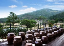 남도1번지 파인힐스CC, 전국구 체류형 골프장으로 거듭나