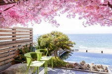 파라다이스호텔 부산, 벚꽃 설렘 담은 ‘봄꽃 스파’ 오픈