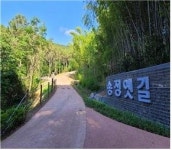 해운대 걷기좋은 길 ‘송정옛길’ 2.6km 완전 복원