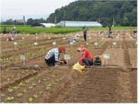 서울시, 10일 ‘함께서울 친환경농장’ 6800구획 일제개장