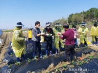 군산시 발달장애인평생학습관 ‘힐링팜’ 식수 행사
