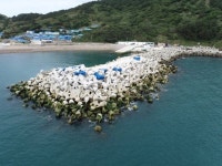 삼시세끼 만재도 주민 320년만에 소원 이뤘다