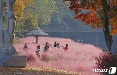 임실군, 사선대 사계절 화원 조성