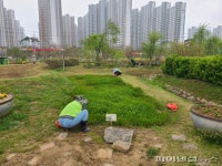 시흥시 농작물 푸드뱅크 지원…도시농업 생산