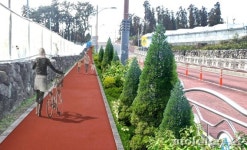 서귀포시, 초등학교 3곳 등하굣길 ‘그린 숲’ 조성