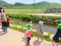 ‘유채꽃 힐링’ 시흥시 장현천 산책로 일부개방