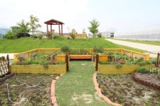 어린이 텃밭·반려동물 텃밭 이제 텃밭도 맞춤형으로