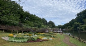 속초시 설악산자생식물원 새 단장