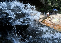 무더위 피해 계곡으로