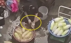 “발 넣고 뒤꿈치 벅벅”···경악 ‘무 세척’ 그 식당, 방배동 족발이었다