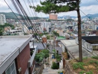 공공개발 후보 지정 하루만에 약수역 일대 호가 5천만원 껑충 [현장르포]