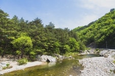 인제 진동리 국민여가캠핑장...올여름 5천여 명 찾아