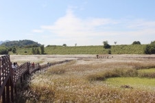 대명유수지&달성습지, 대구 유일 가을 관광지 선정