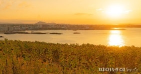 [fn포토] 한껏 기울어진 햇살에 단풍빛 띤 해바라기