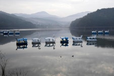 [네모이야기]  자연과 문화를 품은 백운호수