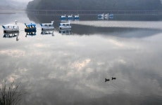 [네모이야기]  자연과 문화를 품은 백운호수