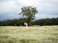가을 제주 농촌여행 “체험과 힐링을 동시에”