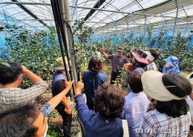 서귀포시 감귤 명인들이 전하는 ‘억대 농가’ 비결