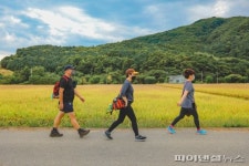 양평 물소리길 비대면 가을걷기 6천명 참여