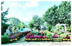 과천 치유정원-대공원나들길 가을정취 ‘물씬’