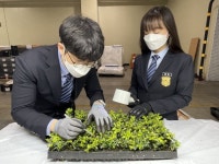 식물·과실 불법 수입시 징역형 해외직구 특별검역 실시