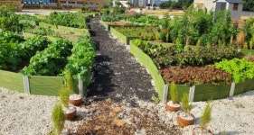 인천 남촌농산물도매시장에 옥상텃밭 조성