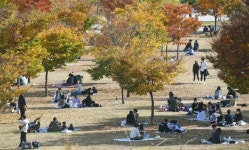 단계적 일상회복 첫 주말,산책나온 시민들