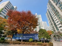 재건축 단지 몰린 서초구 리모델링 열풍