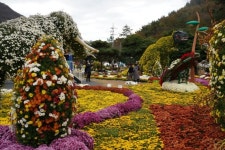 해남군, 12~14일 해남미남축제 개최