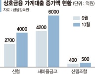 은행 대출길 막히자 신협·새마을금고에 줄선다