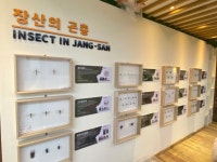  장산구립공원 해운대 주거지 최고 힐링명소로