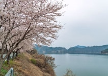 충남도 ‘충남의 아름다운 드라이브길 10선’ 선정