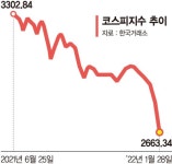"안전자산·현금 늘리고 주식은 미국보다 유럽"[길잃은 돈, 금융전문가의 투자전략]