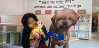 [2022대선지식창고] 반려동물도 우리 국민이었어