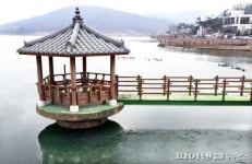 시흥 물왕호수 겨울옷 벗고 찬란한 봄날 입다