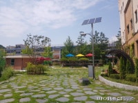 안양시 학교숲 17곳 조성…6월 박달중 준공
