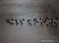 양주시립장욱진미술관 청년작가 20명 드로잉 선봬
