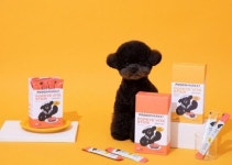 입맛 돋우고, 건강 살리고 취향저격 영양제 찾아보개! [Weekend 반려동물]